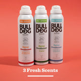 Bulldog Skincare | Bergamot & Sandalwood Spray Deodorant - 24 Hour Protection, Fresh Scent 125Ml