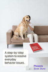 🐾🐶 Mastering the Art of Dog Training: A Step-by-Step Guide for a Well-Behaved Pup ❤️✨