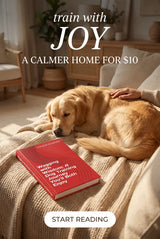🐾😊 Wagging with Wisdom: A Dog Training Journey You’ll Both Enjoy 🐶❤️