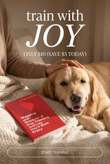🐾😊 Wagging with Wisdom: A Dog Training Journey You’ll Both Enjoy 🐶❤️