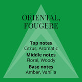 Green Perfume for Men.100Ml Eau De Parfum Men, Luxury Fragrance - Mens Aftershave, Long Lasting Fragrance for Men by Milton-Lloyd