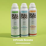 Bulldog Skincare | Original Spray Deodorant - 24 Hour Protection, Fresh Scent 125Ml