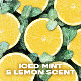 Ice Chill Aerosol Body Spray Men'S Deodorant Spray with an Iced Mint & Lemon Scent for 48 Hours of Odour-Busting, High Definition Fragrance 6X 150 Ml