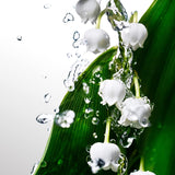 Cool Water Women, Eau De Toilette, Floral and Fruity Aroma, Fresh Fragrance, Medium Longevity, 100Ml