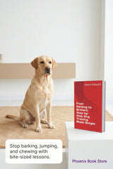 🐾🐶 From Barking to Brilliant: Step-by-Step Dog Training Made Simple ❤️✨
