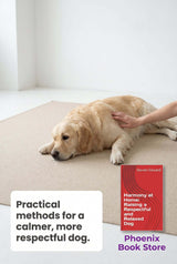 Harmony at Home: Raising a Respectful and Relaxed Dog