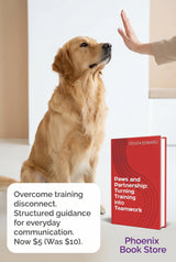 🐾 Paws and Partnership: Turning Training into Teamwork 🐶🤝
