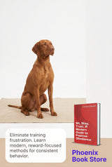 🐾 Sit, Stay, Trust: A Modern Guide to Positive Obedience 🐶❤️