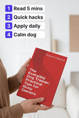 The Everyday Dog Trainer: Practical Tips for Busy Owners