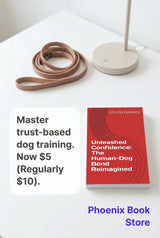 🐾 Unleashed Confidence: The Human-Dog Bond Reimagined 🐶❤️