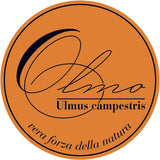 , Olmo - Mens Aftershave with Refreshing Notes, Aftershave Men to Soothe the Skin after Shaving, Perfume for Men with Asian Centella for Face Skin, after Shave Mens Perfume 100 Ml - Made in Italy